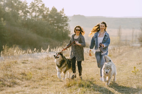 Women running with dogs - The Ranch Pet Resort