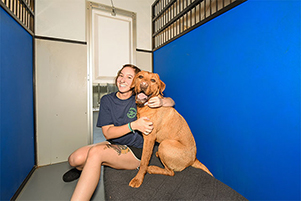 Staff member hugging a dog