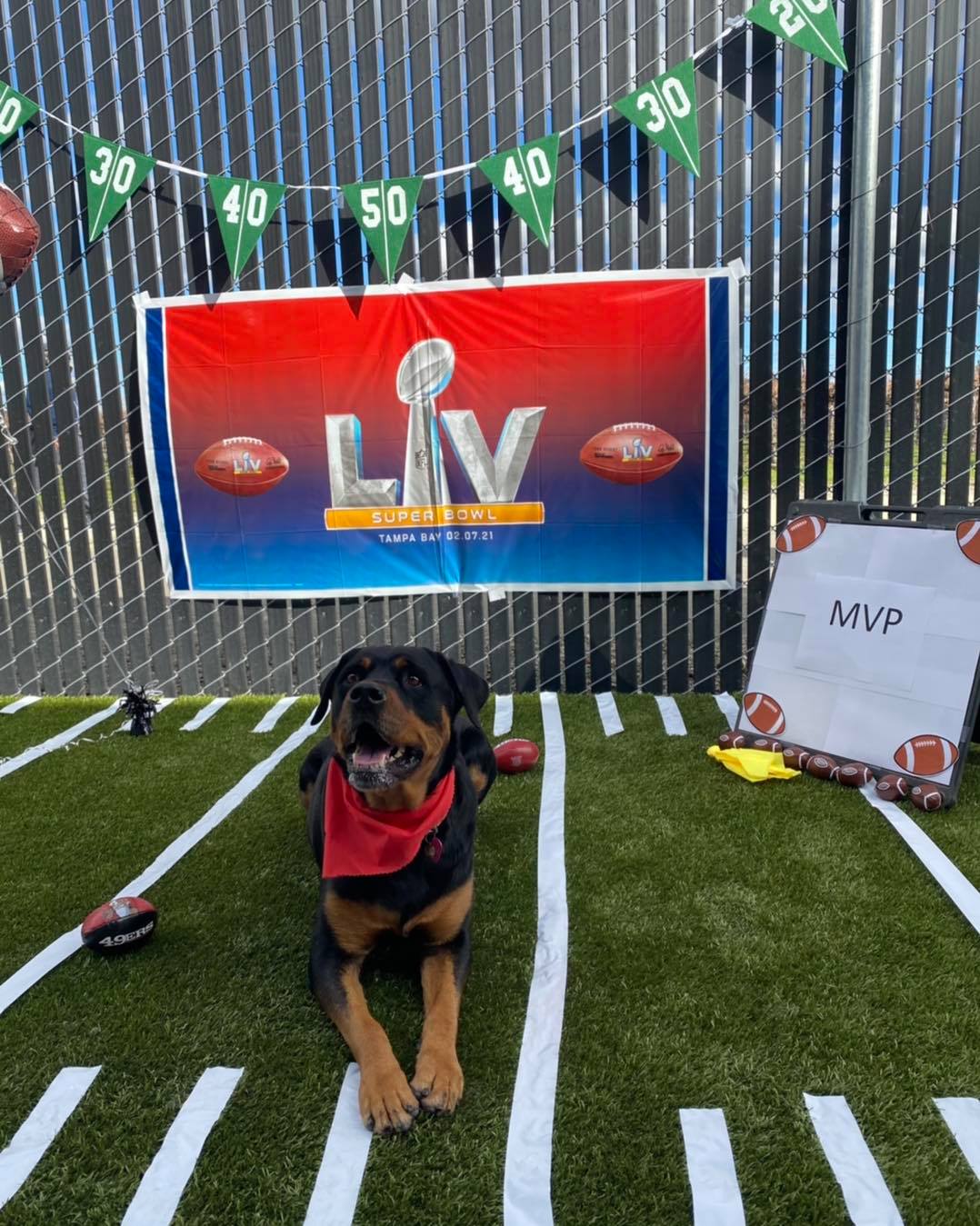 What's New at The Ranch Pet Resort and Spa The Ranch Pet Resort