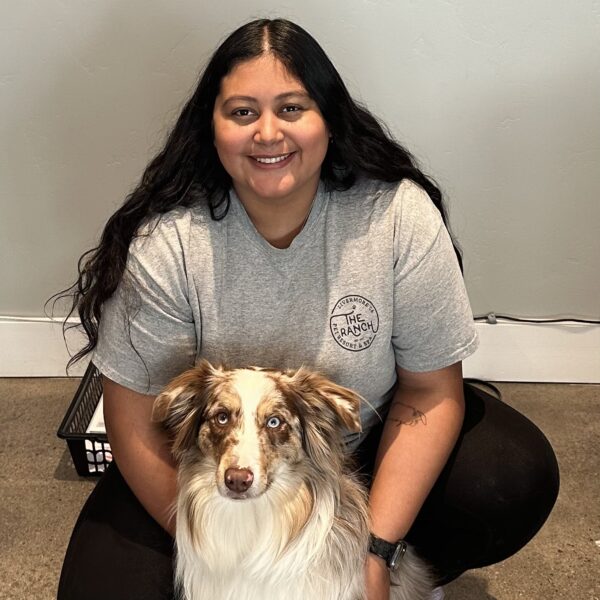 stay-and-train-dog-obedience-program-at-the-ranch-pet-resort-and-spa