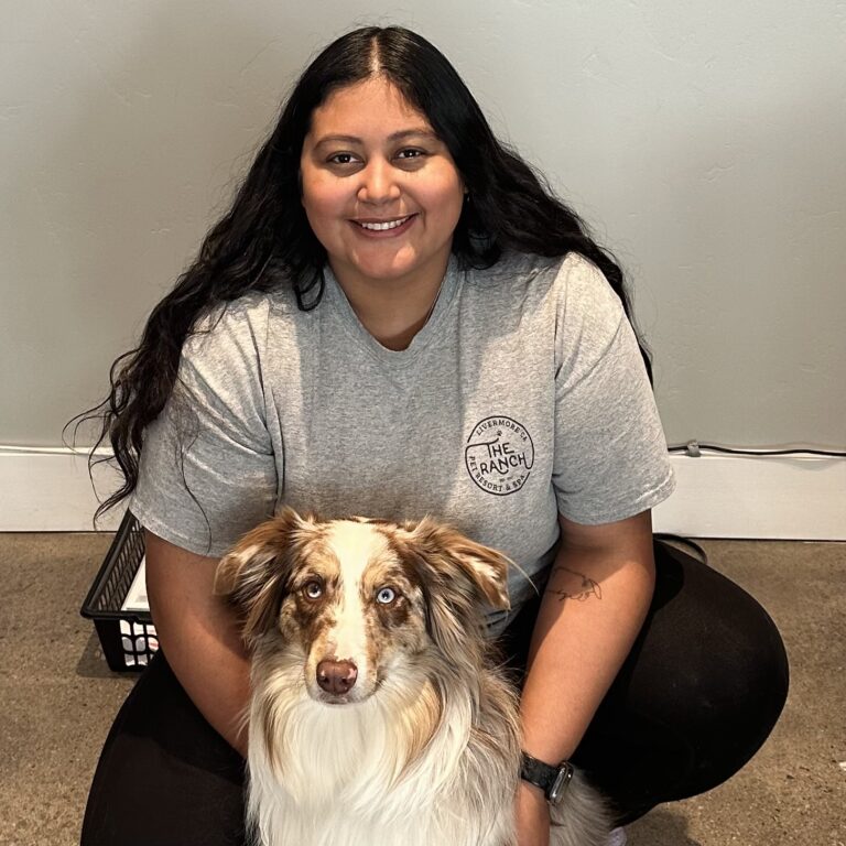 stay-and-train-dog-obedience-program-at-the-ranch-pet-resort-and-spa